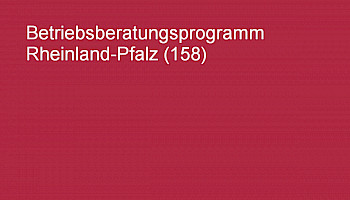 Weißer Text auf rotem Grund: Betriebsberatungsprogramm Rheinland-Pfalz (158)
